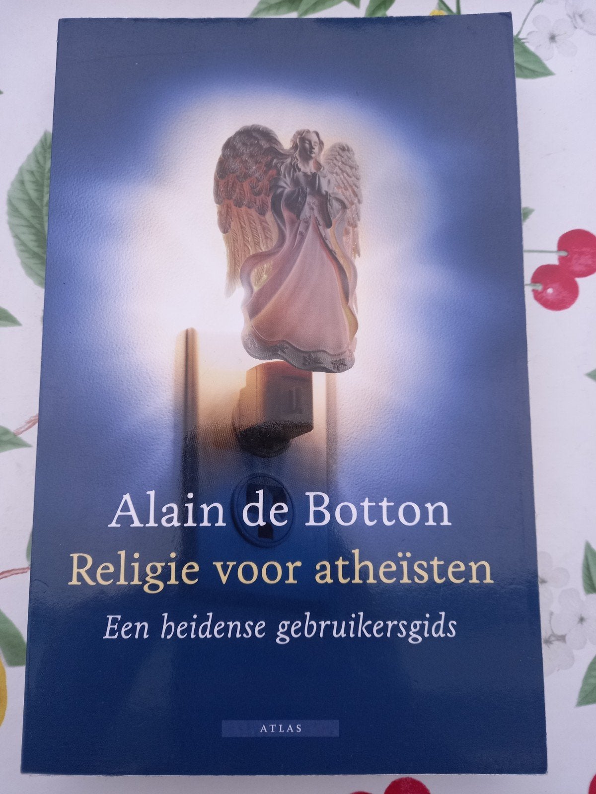 B13 Alain de Botton - Religie voor atheïsten, Ophalen of Verzenden, Zo goed als nieuw, Alain de Botton