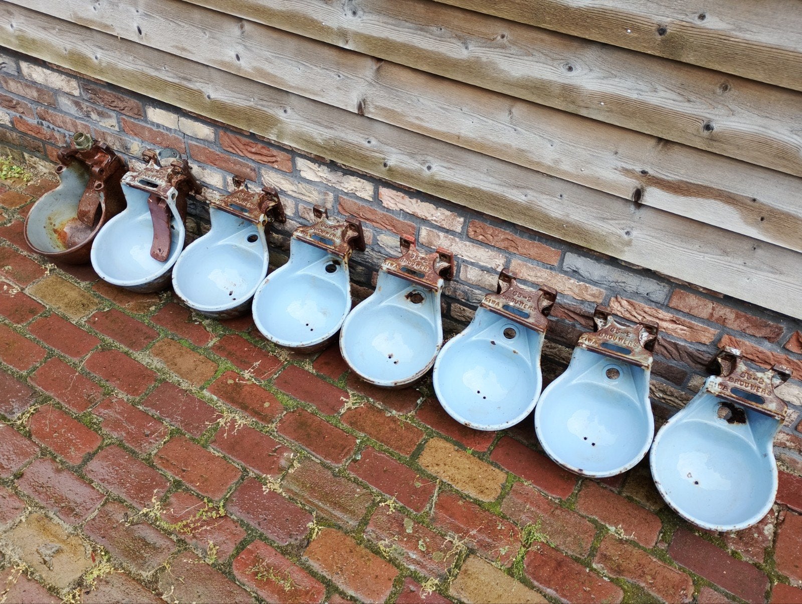 Brouwers 65-2 drinkbak zelfdrinker koe rund, Ophalen of Verzenden