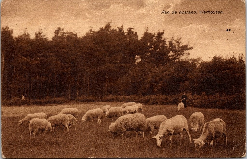 Vierhouten - 12 antieke ansichtkaarten I, Verzenden, 1920 tot 1940, Gelopen, Gelderland