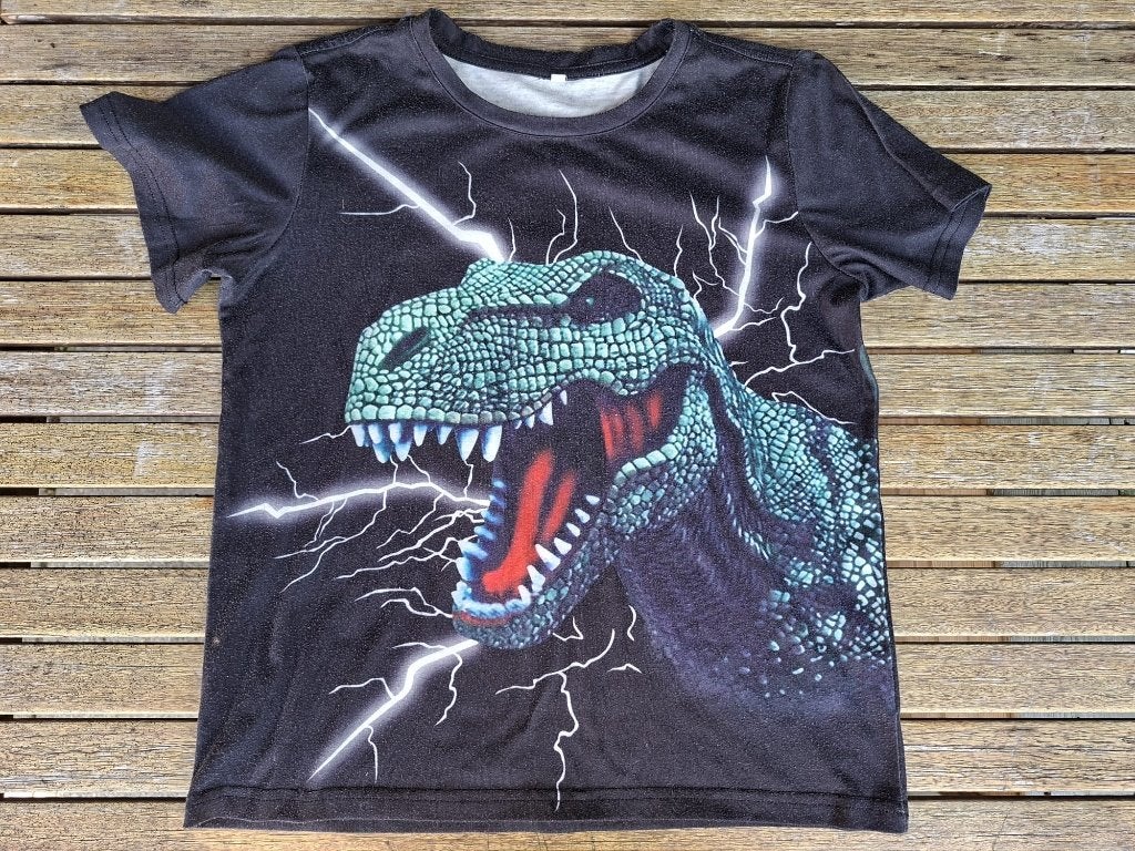 Leuk zwart Dino shirt maat 146 !!, Ophalen of Verzenden, Gebruikt, Jongen, Shirt of Longsleeve