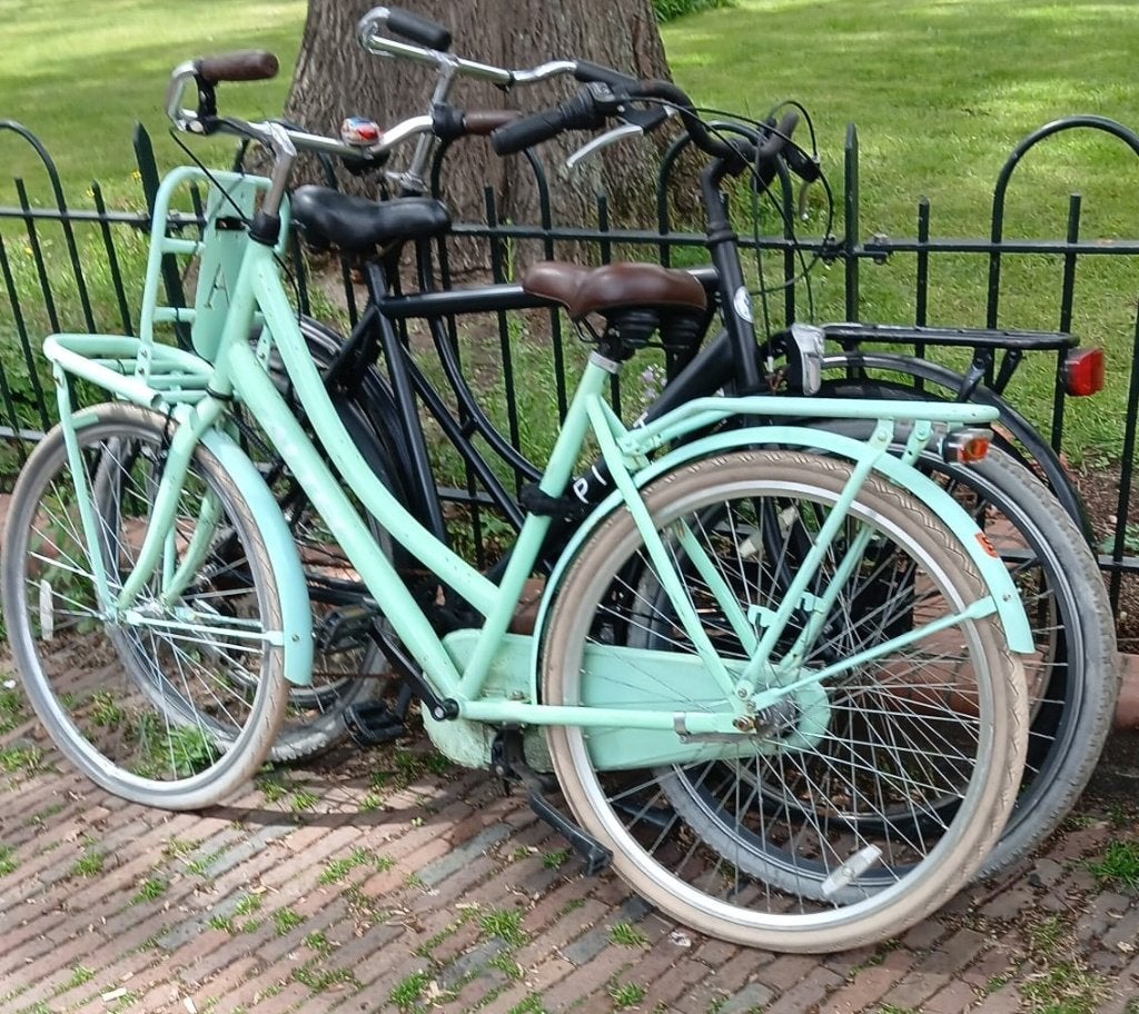 dames fiets met voordrager en terugtraprem, Terugtraprem, Ophalen, Overige merken, 53 tot 56 cm