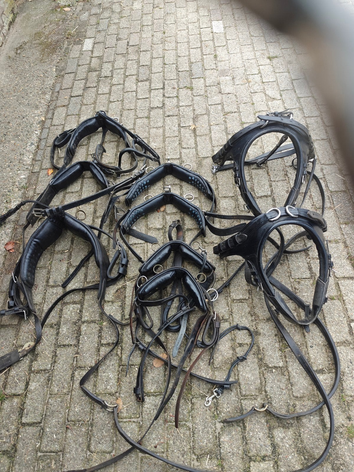 grote hoeveelheid mentuig in 1 koop, Ophalen, Gebruikt, Overige disciplines