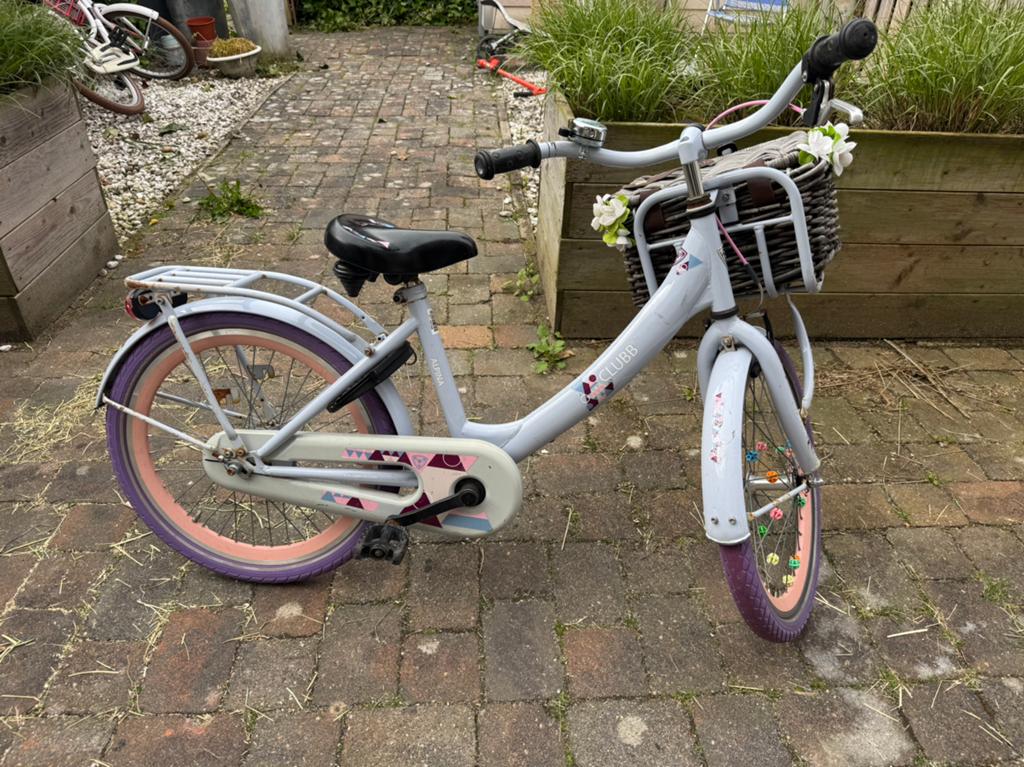 Kinderfiets 20 inch, Ophalen of Verzenden, Gebruikt, 20 inch of meer