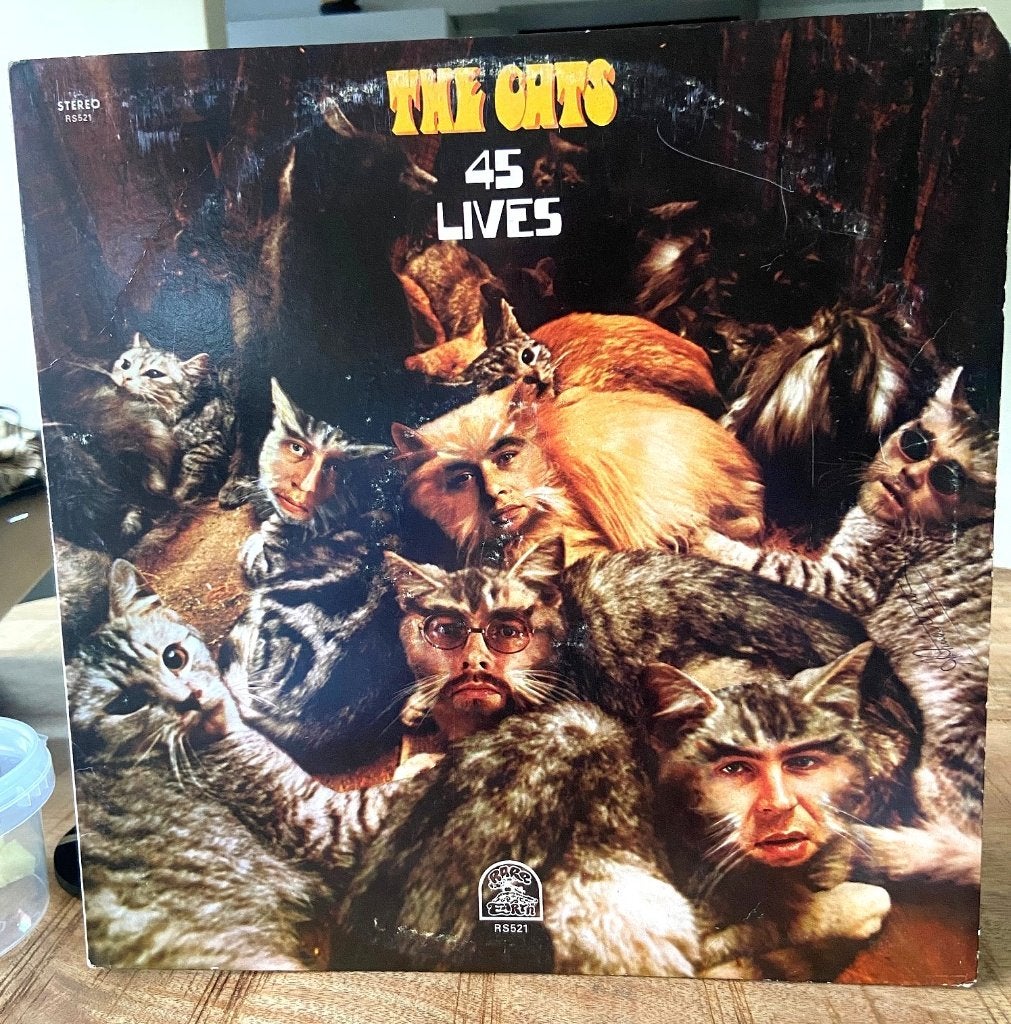 LP - The Cats - 45 Lives, Cd's en Dvd's, LP, Gebruikt, Pop, Ophalen of Verzenden