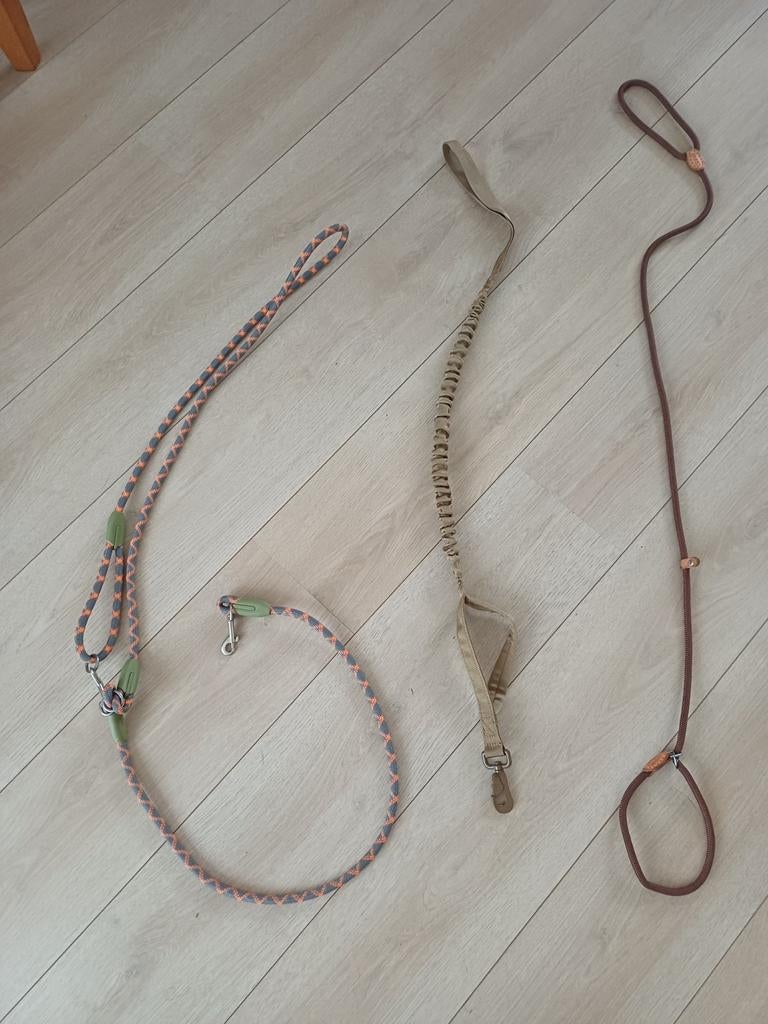 Hondenriemen, Dieren en Toebehoren, Ophalen of Verzenden
