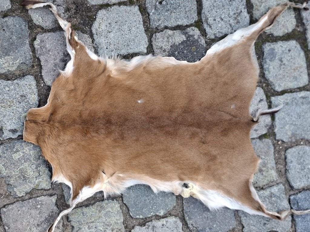 1 gelooid edelhert-hert vel, Ophalen of Verzenden