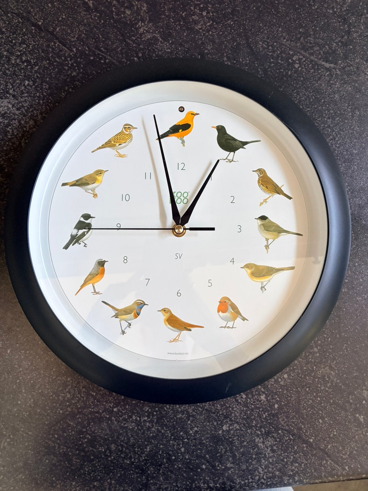 Klok met vogels, Ophalen, Gebruikt, Analoog, Wandklok