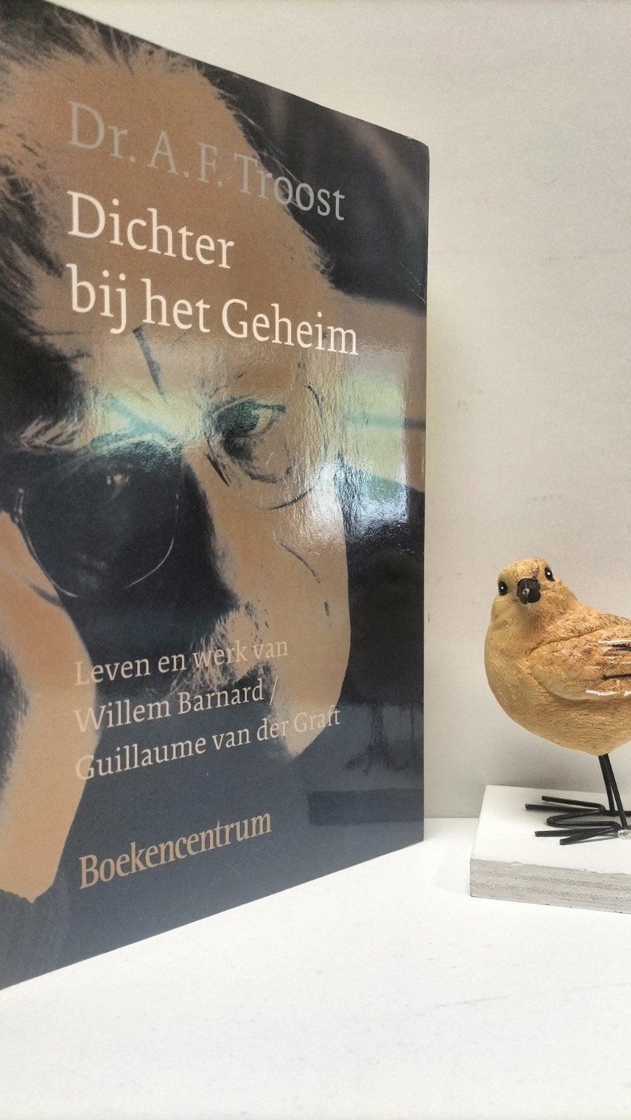 Troost, Dr. A.F.; Dichter bij het Geheim (Willem Barnard), Ophalen of Verzenden, Gelezen, Christendom | Protestants