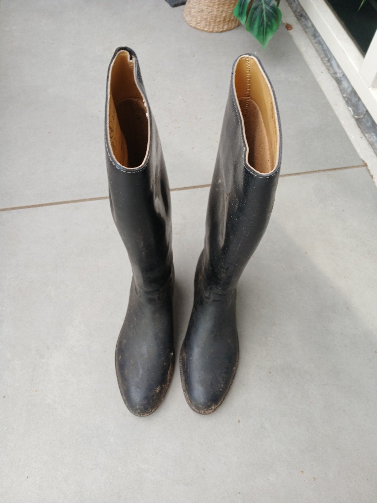 Paardrijlaarzen merk Aigle, Dames, Gebruikt, Dressuur, Aigle