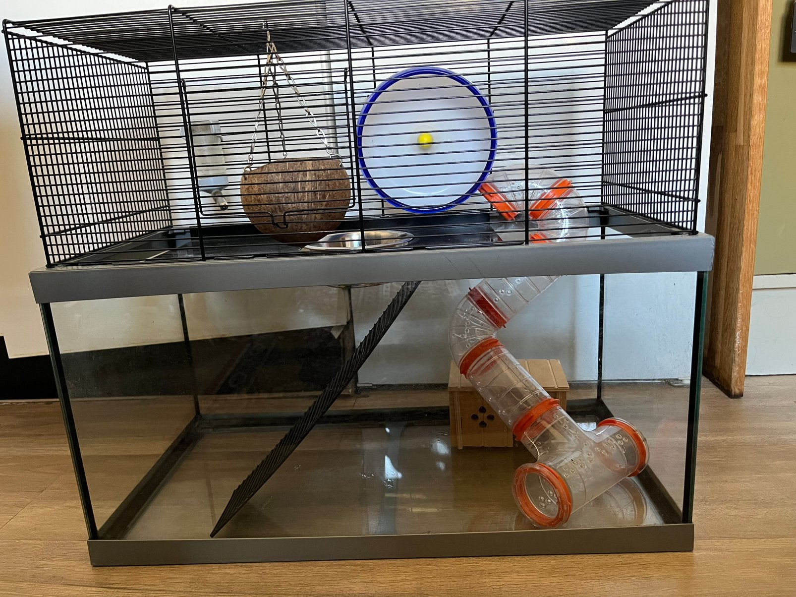 Kooi voor kleine knaagdieren, Dieren en Toebehoren, Minder dan 60 cm, Kooi, Minder dan 75 cm, Ophalen of Verzenden