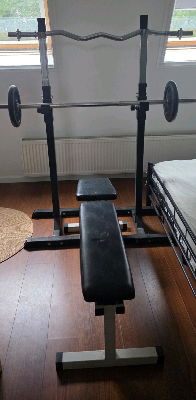 Haltersteun en fitness bank, Sport en Fitness, Ophalen, Gebruikt, Rug, Fitnessbank