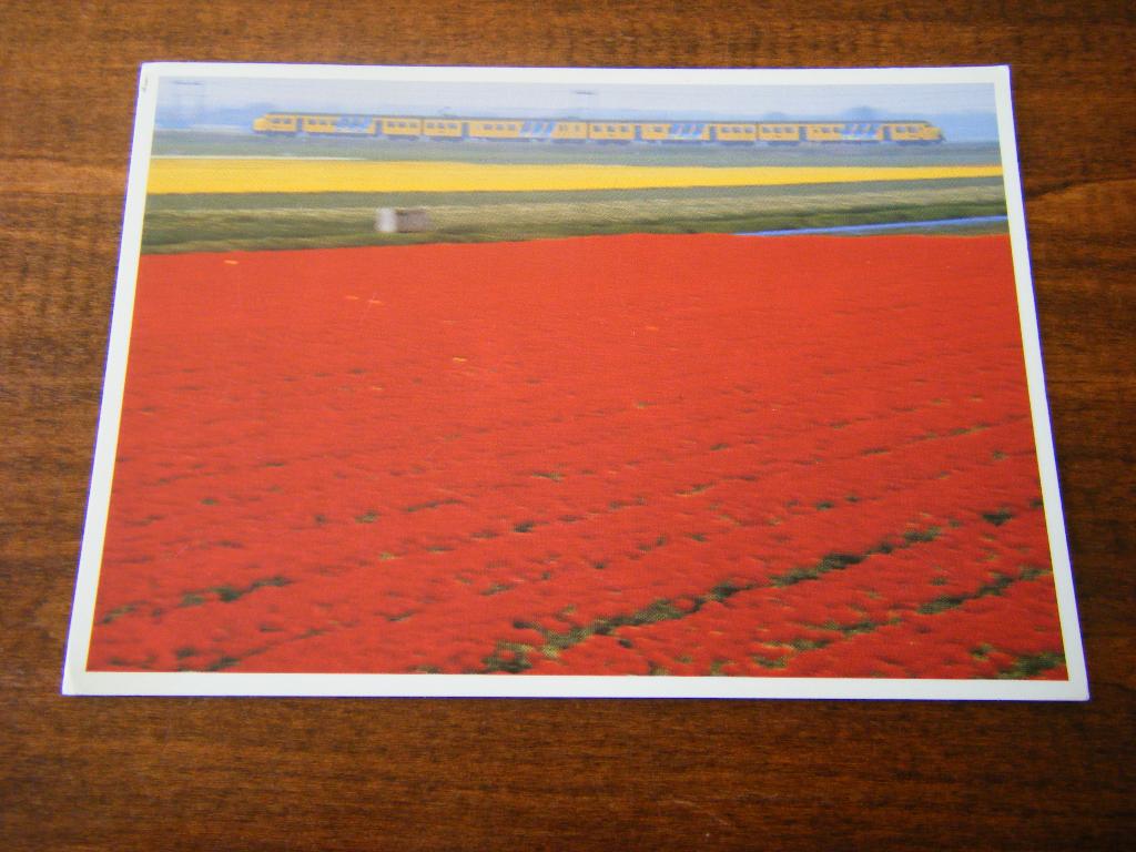 X37 - Bollenveld - Trein - Luchtfoto - Mooie kaart, Verzamelen, Ansichtkaarten | Nederland, Ophalen of Verzenden, Zuid-Holland