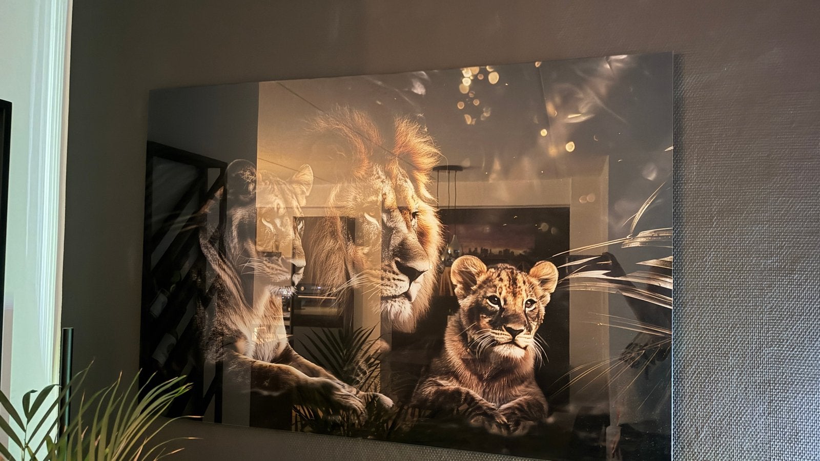 Schilderij van leeuwenfamilie op plexiglas, Huis en Inrichting, 50 – 75, Ophalen of Verzenden, Zo goed als nieuw, Schilderij