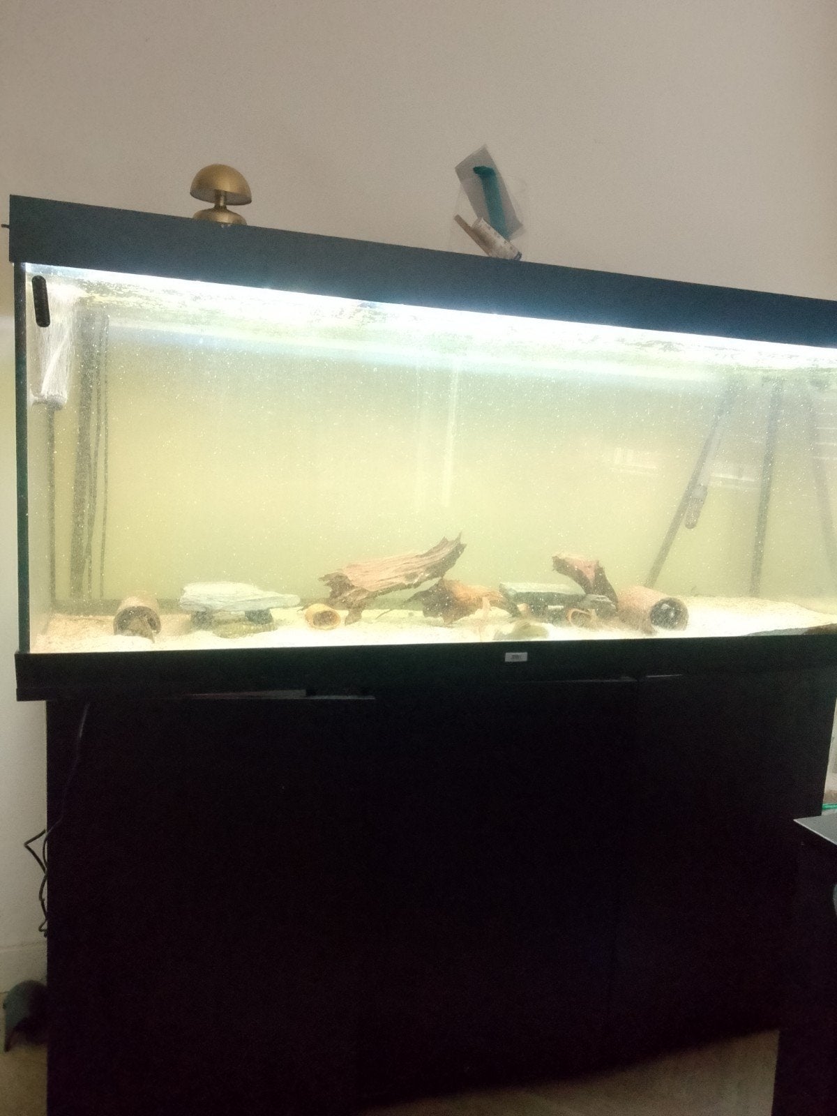Juwel Rio 450, Dieren en Toebehoren, Ophalen, Gevuld zoetwateraquarium
