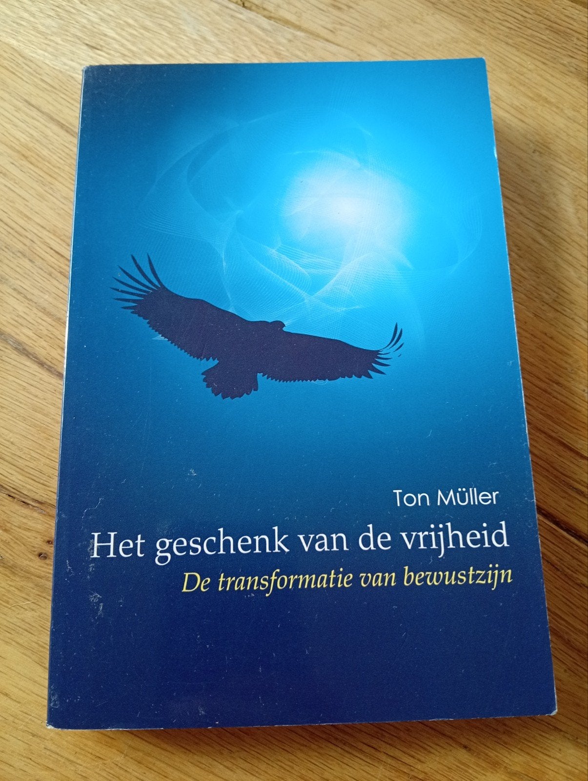 Het geschenk van de vrijheid - Ton Müller, Boeken, Gelezen, Spiritualiteit algemeen, Ophalen of Verzenden, Ton Müller