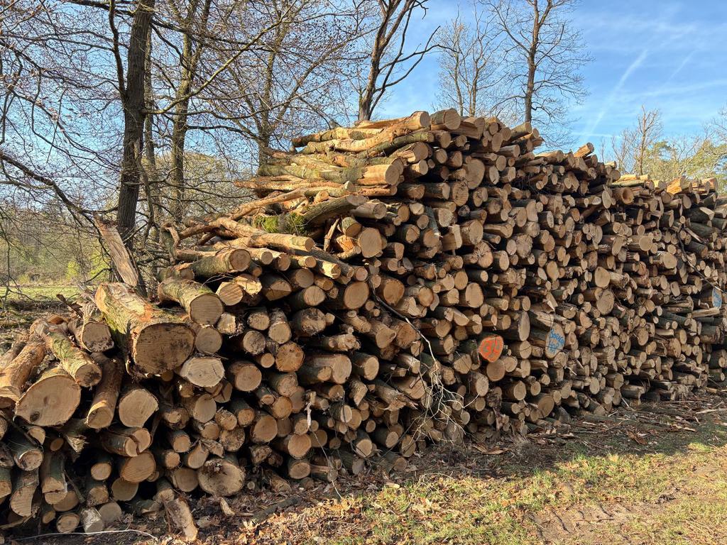 Beschikbaar, vracht rondhout eik. Mooi brandhout, 6 m³ of meer, Ophalen of Verzenden