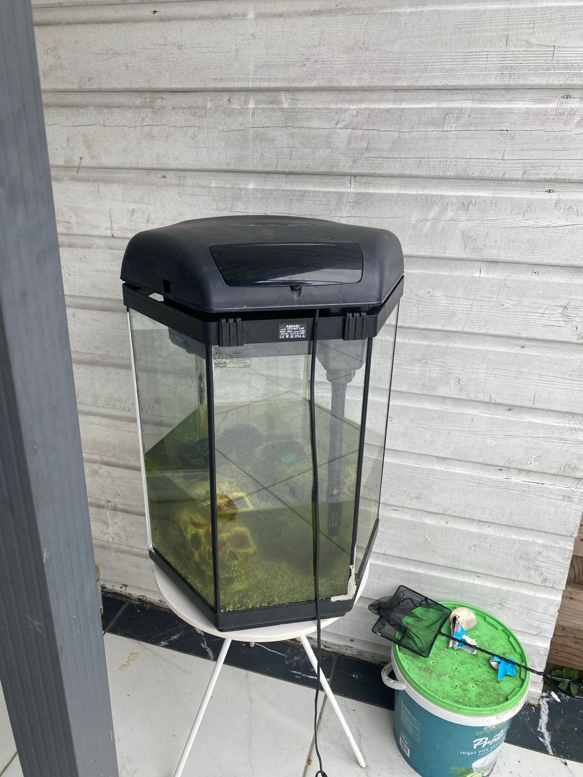 Gratis vissen en aquarium, Ophalen of Verzenden, Gevuld zoetwateraquarium