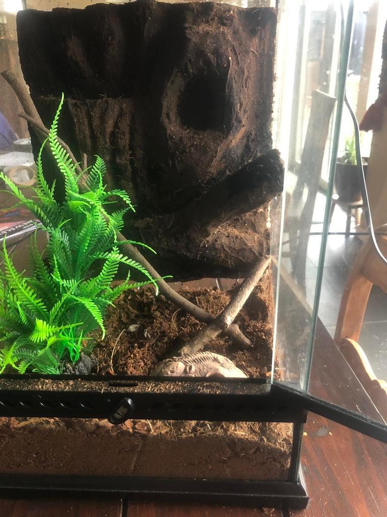 Terrariums 2 stuks, Dieren en Toebehoren, Ophalen, Zo goed als nieuw