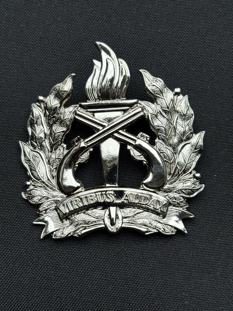Petembleem Politie Suriname - Zilverkleurig, Verzamelen, Militaria | Algemeen, Ophalen of Verzenden, Nederland, Embleem of Badge