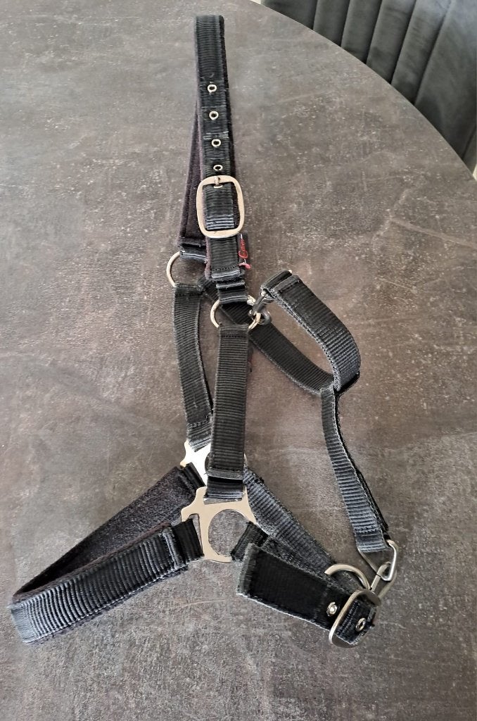 Cob halster Covalllero, Dieren en Toebehoren, Ophalen of Verzenden, Halster, Cob, Verstelbaar