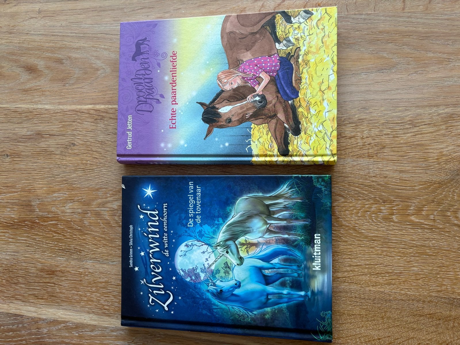 2 kinderboeken: Droompaarden & Zilverwind, Ophalen, Zo goed als nieuw, Fictie