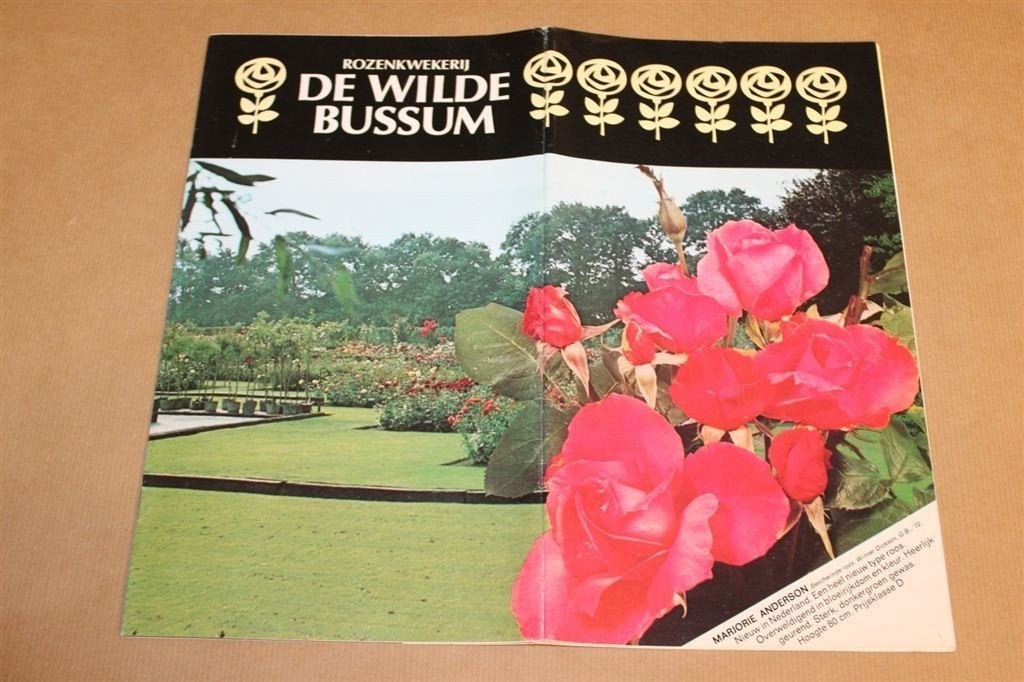 Prachtige catalogus Rozenkwekerij - De Wilde Bussum - 1975, Ophalen of Verzenden, Zo goed als nieuw