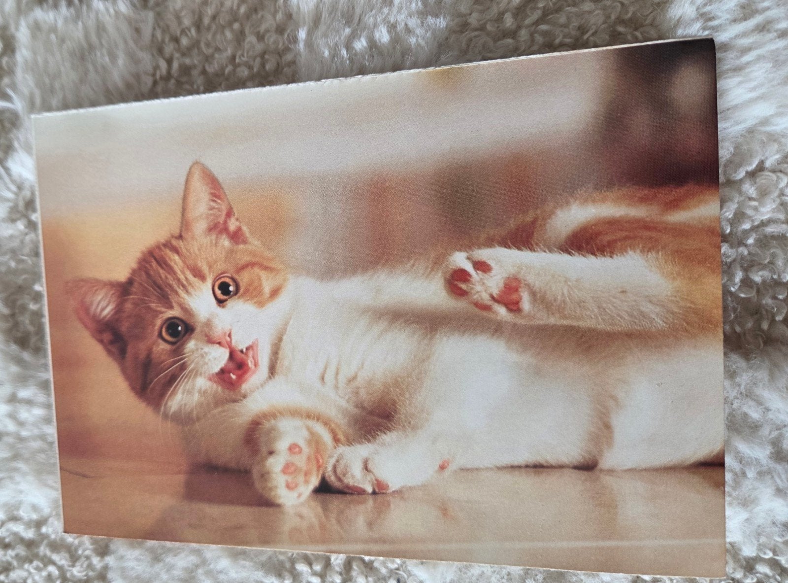 Leuke Whiskas Ansichtkaart met Katje, Verzamelen, Verzenden, 1980 tot heden, Ongelopen, Hond of Kat