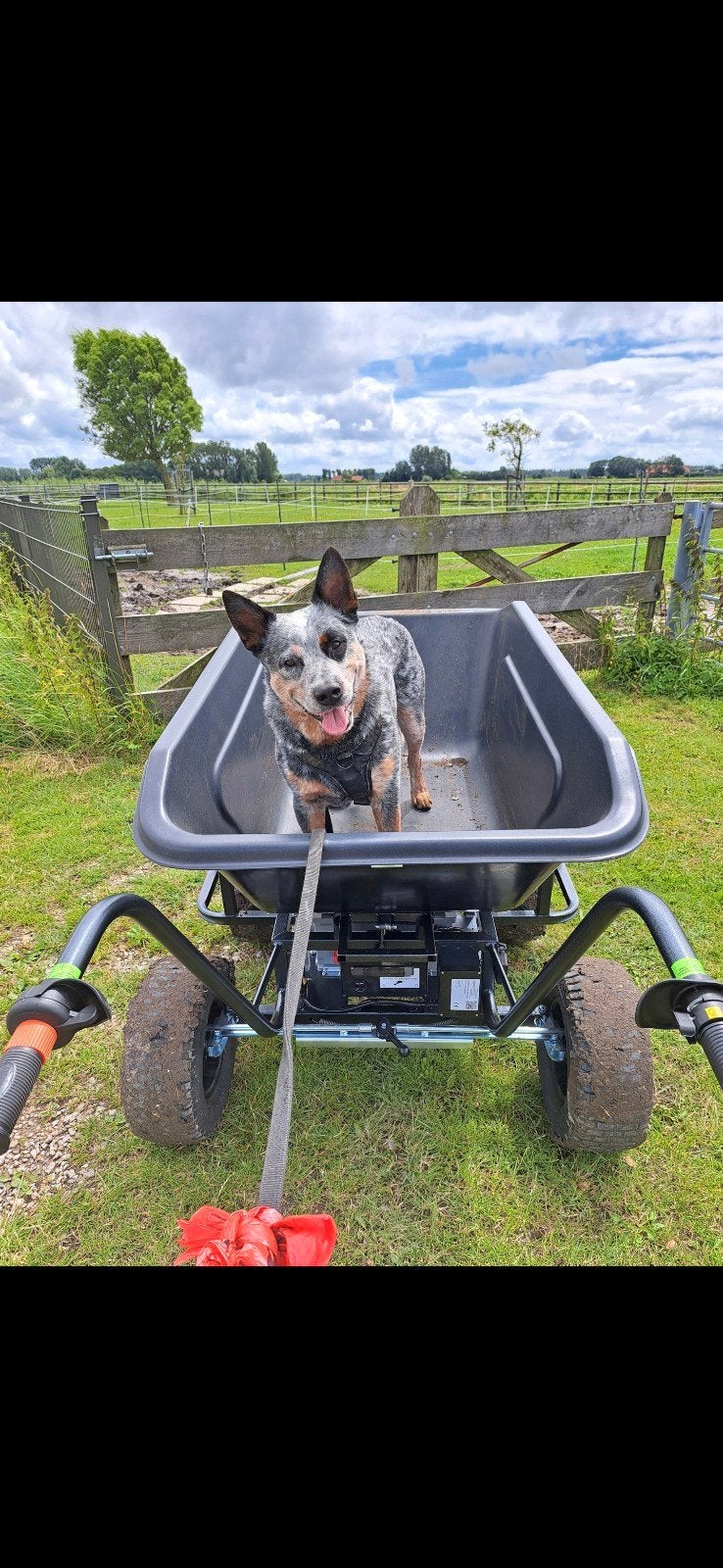 Elektrische kruiwagen - Bravo Mobarrow Equerry Plus, Tuin en Terras, Kruiwagens, Ophalen, Zo goed als nieuw, Elektrisch