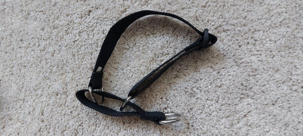 Anti-ontsnappings halsband (martingale), Dieren en Toebehoren, Ophalen of Verzenden, Nieuw