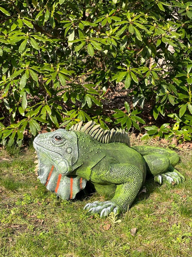 Leguaan, Groen, tuin, zwembad, vijver, salamander 100cm, Ophalen, Nieuw, Kunststof, Dierenbeeld