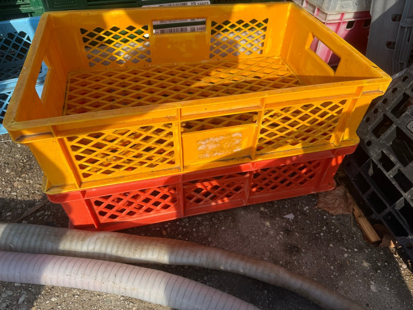 Grote partij kratten euronorm, Ophalen, Gebruikt, 40 tot 60 cm, 50 tot 75 cm