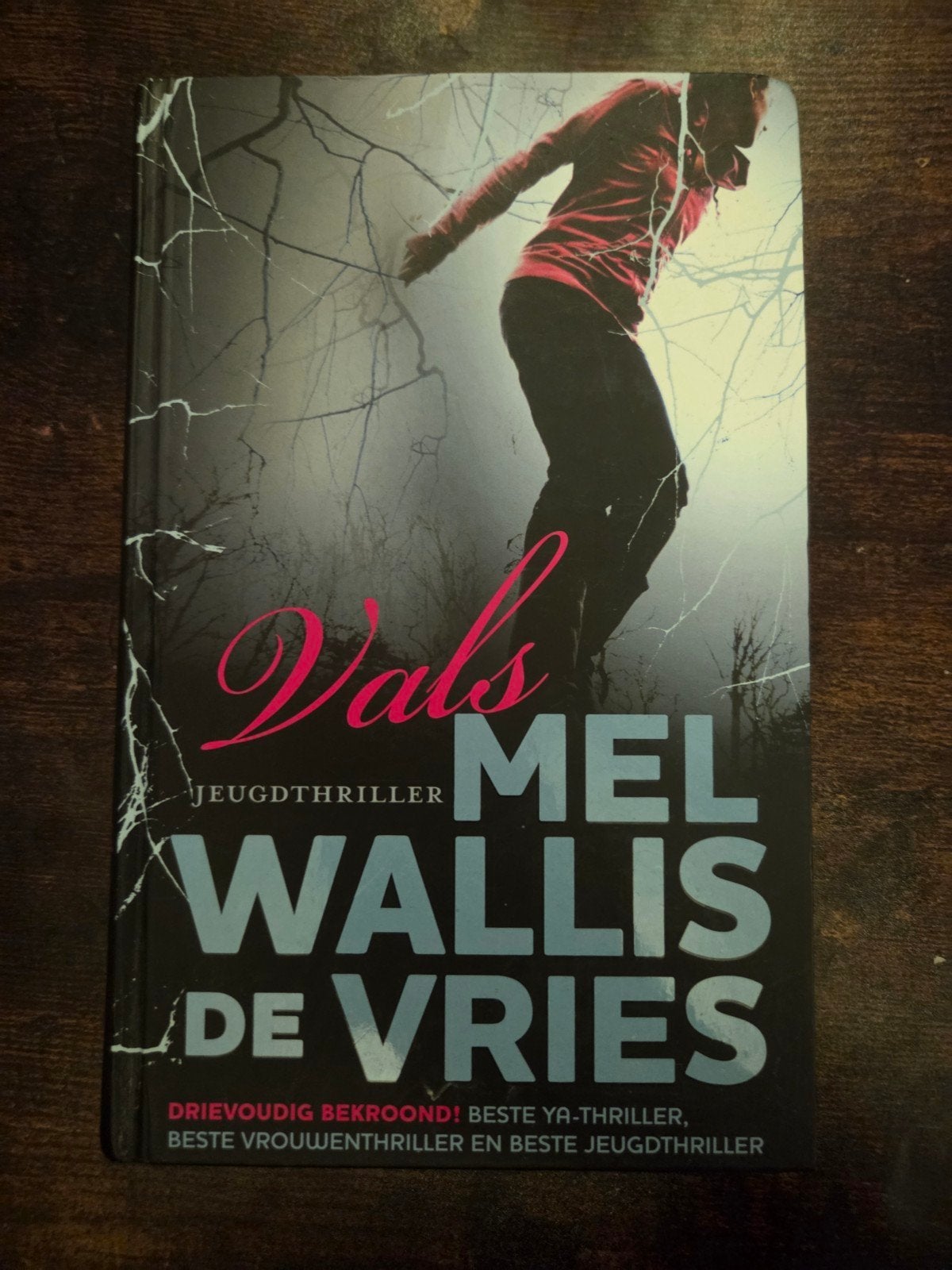 Vals - Jeugdthriller door Mel Wallis de Vries, Boeken, Ophalen of Verzenden, Gelezen, Mel Wallis de Vries, Nederland
