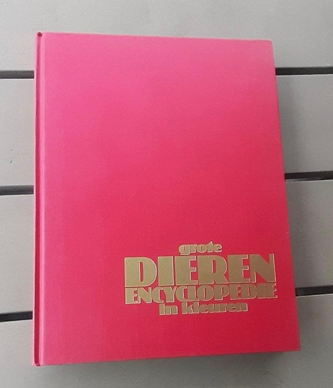 Grote Dierenencyclopedie in Kleuren - Maurice Burton, Boeken, Ophalen of Verzenden, Zo goed als nieuw, Natuur algemeen, Maurice Burton