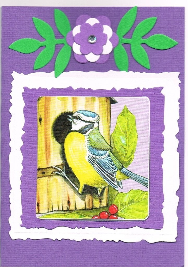 vogelkaart, Ophalen of Verzenden, Nieuw, Dieren