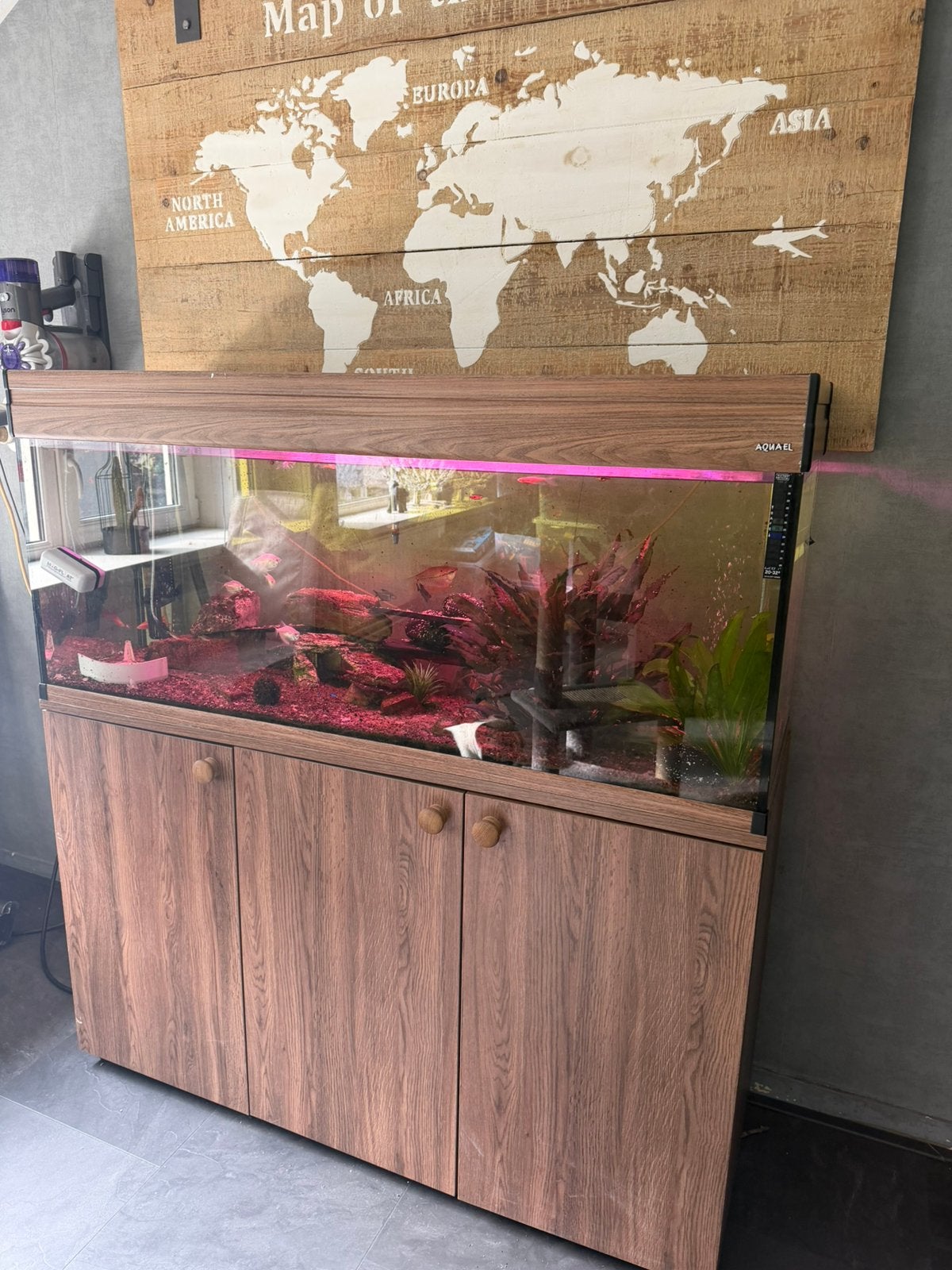 Aquarium, Ophalen, Zo goed als nieuw, Gevuld zoetwateraquarium