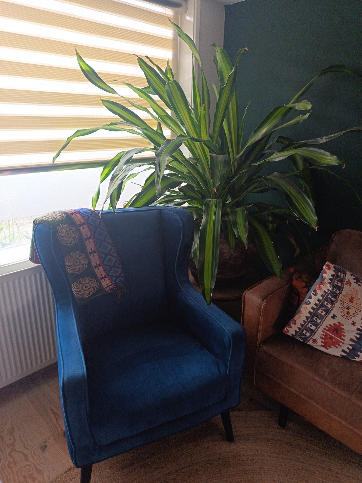 2 identieke turquoise blauwe fluwelen fauteuils - Zo goed al, Huis en Inrichting, Ophalen, Modern, Comfortabel, Blauw, Zo goed als nieuw