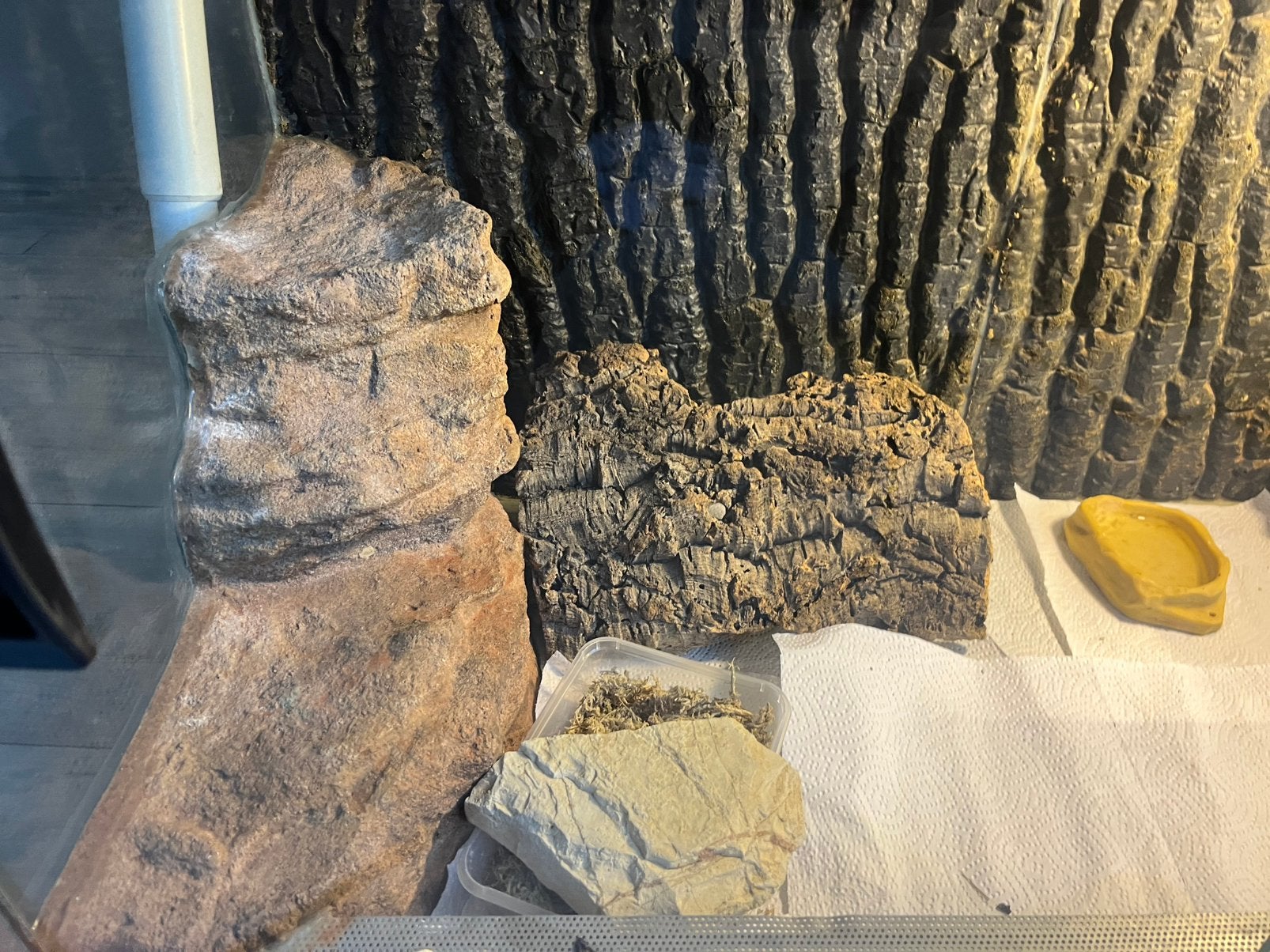 Koppel luipaard gekko’s + compleet terrarium Leopard Gecko photo 9