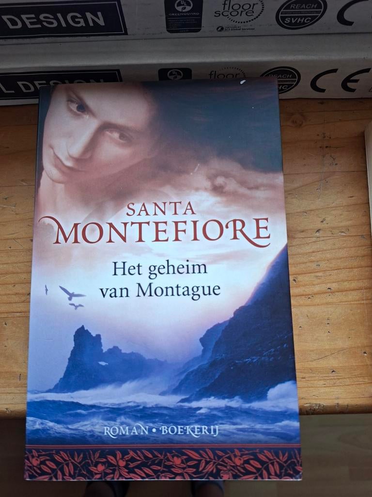 Het geheim van Montague - Santa Montefiore Roman Boekerij, Boeken, Romans, Ophalen of Verzenden, Zo goed als nieuw, Santa Montefiore