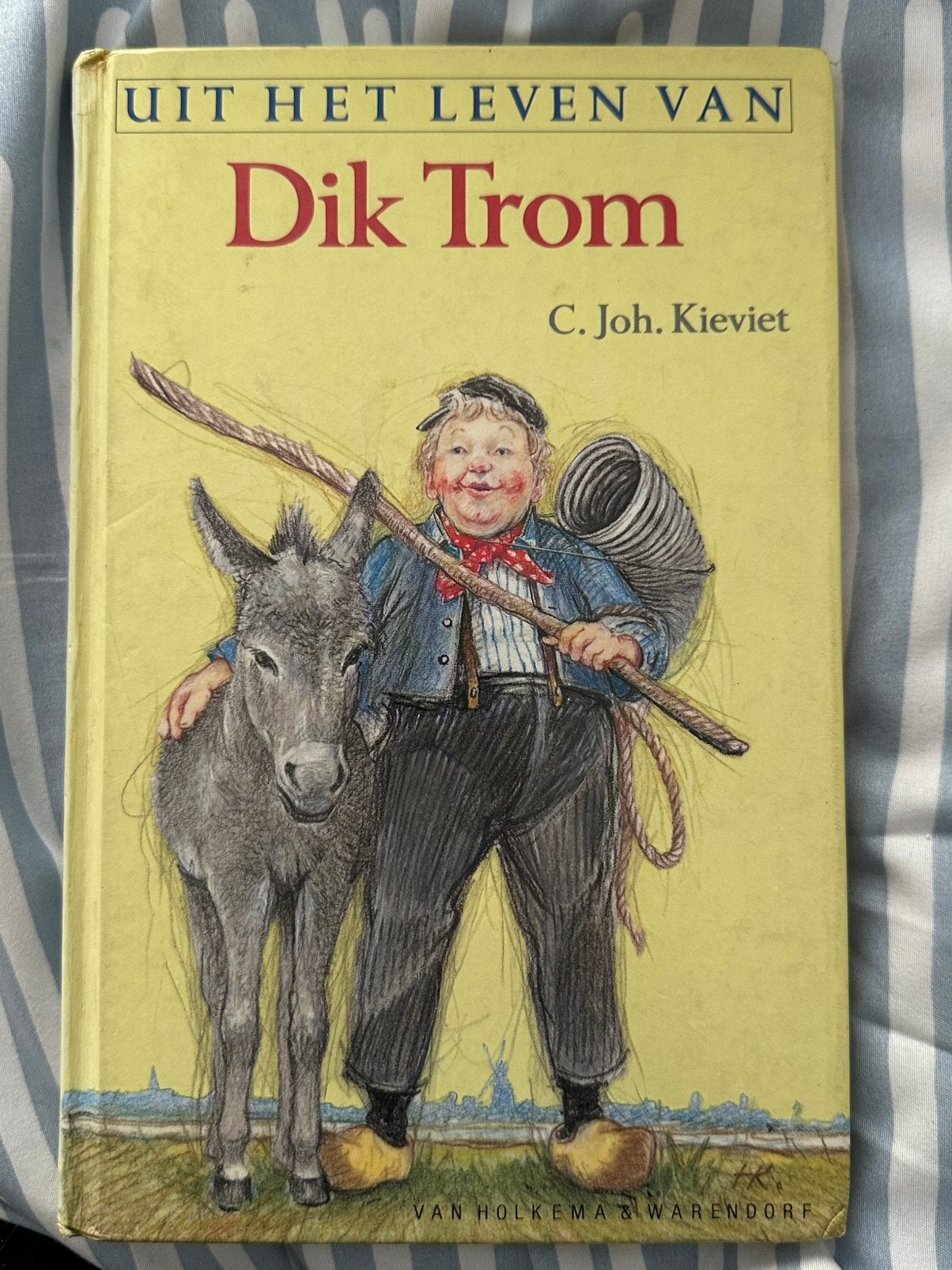 Dik trom avonturen, Ophalen of Verzenden, Zo goed als nieuw, Fictie algemeen