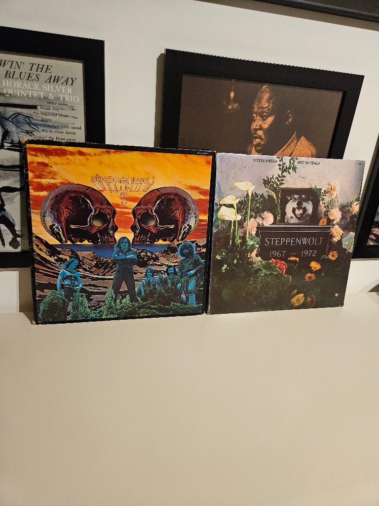 Steppenwolf 2 LPs, LP, Gebruikt, Blues Rock, Ophalen of Verzenden