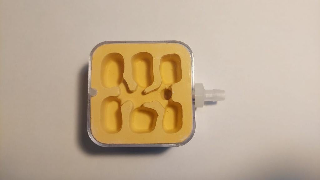 GIPS NEST VOOR MIEREN, Mieren