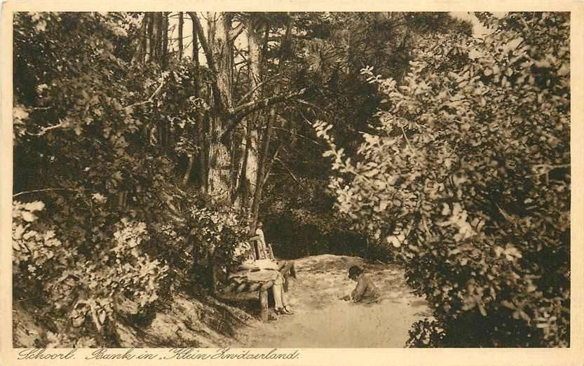 377-603-021 Schoorl Klein Zwitserland, Ophalen of Verzenden, Voor 1920, Noord-Holland