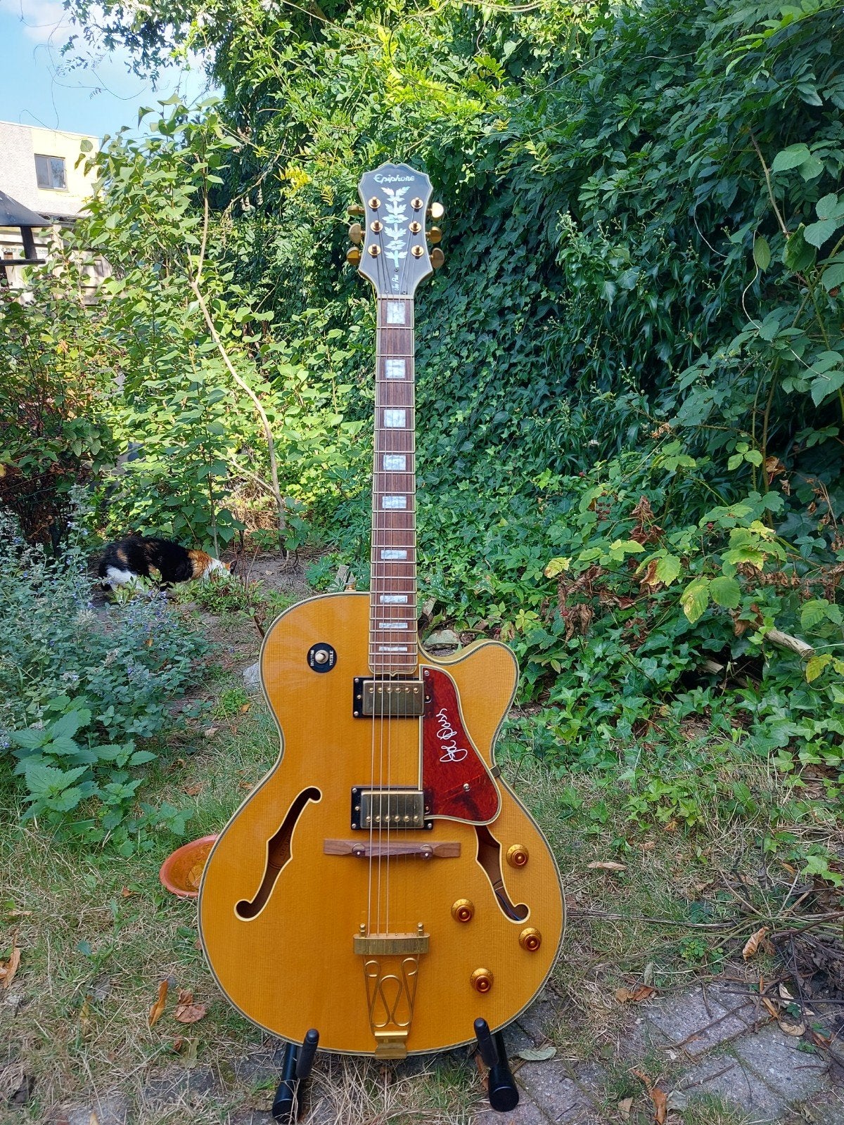 Epiphone Emperor II NA Joe Pass signature, Muziek en Instrumenten, Snaarinstrumenten | Gitaren | Elektrisch, Ophalen, Gebruikt