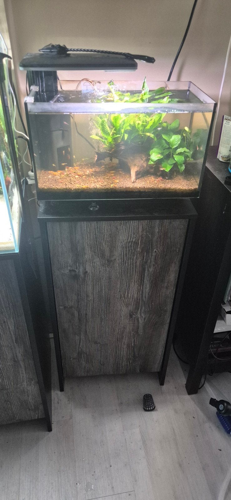 Superfish Quadro 40 pro + onderkast + garnalen, Ophalen, Zo goed als nieuw, Leeg aquarium