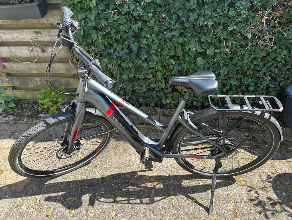 Pegasus Tecaro met riem en enviolo, Gebruikt, 50 km per accu of meer, 55 tot 59 cm, Ophalen