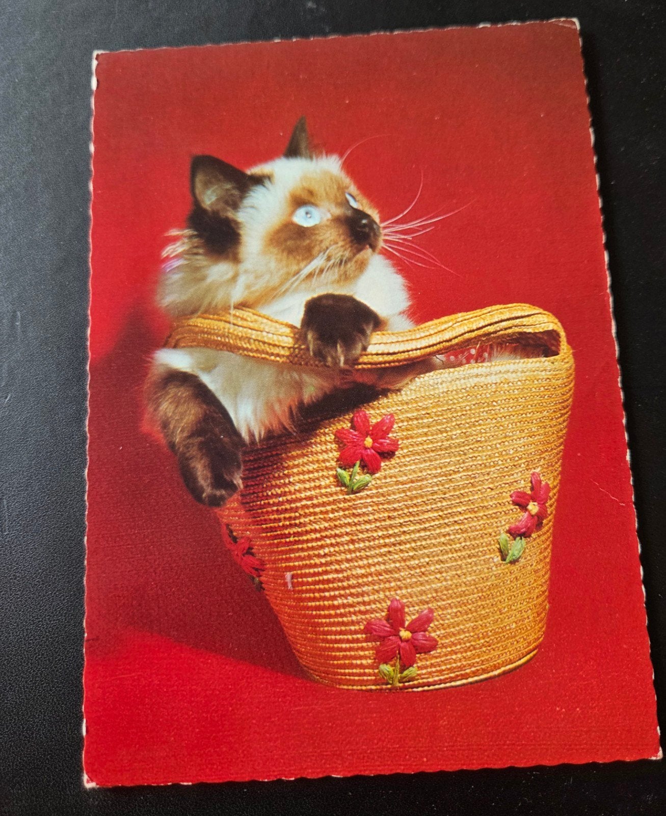 Katje in Mandje, Verzenden, 1960 tot 1980, Gelopen, Hond of Kat