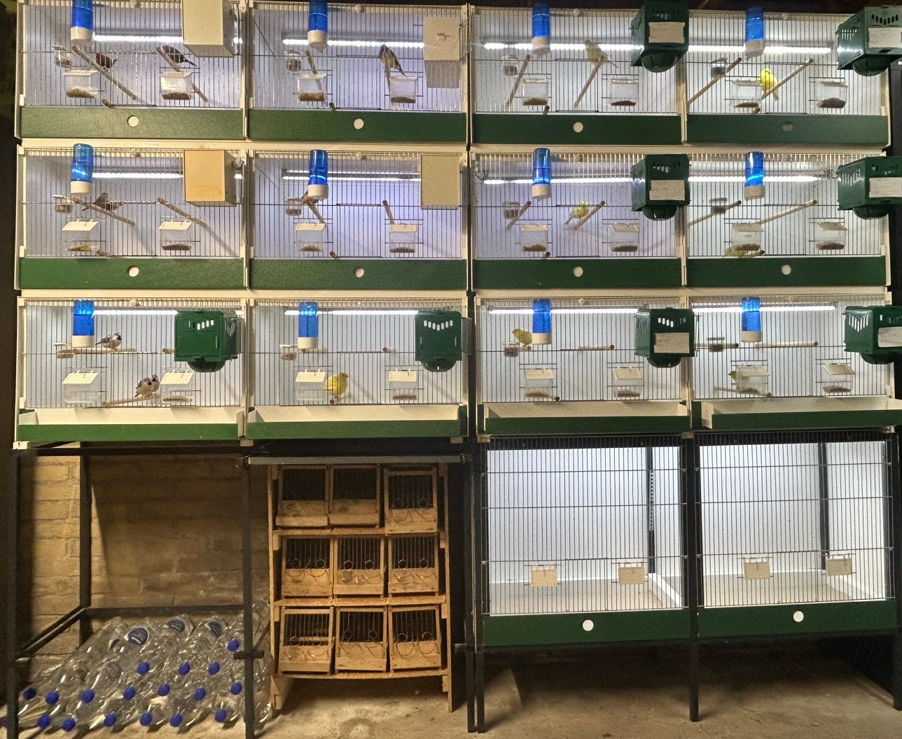 Prachtige heesakker kweekkooien met verlichting, Ophalen of Verzenden, Zo goed als nieuw, Kunststof, Broedkooi of Kweekkooi