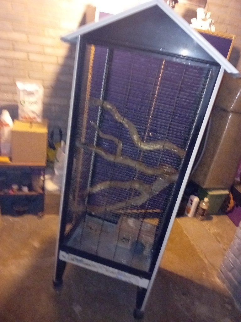 Grote Oude Eekhoorn Kooi, Ophalen, Kooi, Gebruikt, Eekhoorn