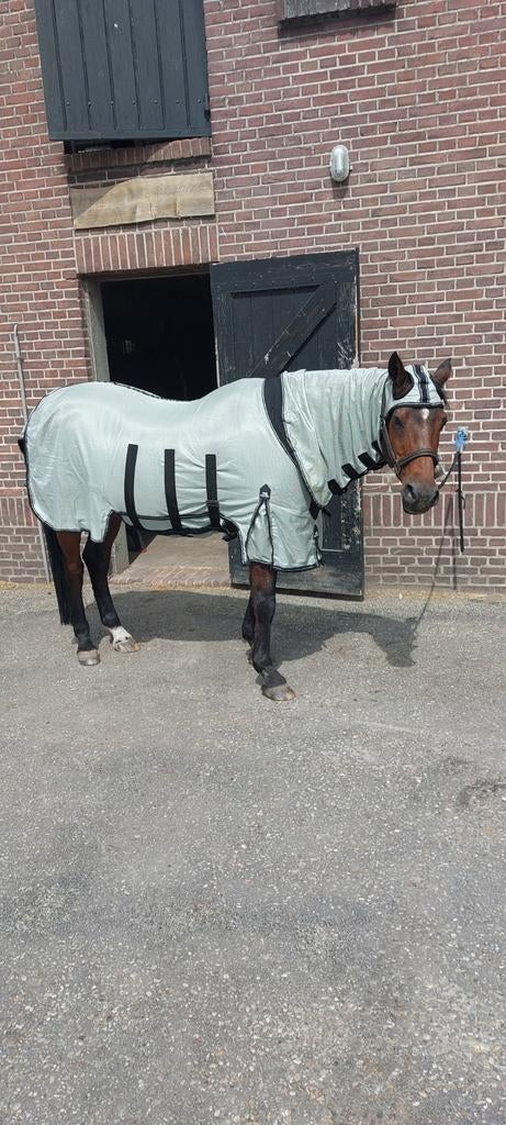 Presteq vliegendeken 185/135., Dieren en Toebehoren, Paarden en Pony's | Dekens en Dekjes, Ophalen of Verzenden, Zo goed als nieuw