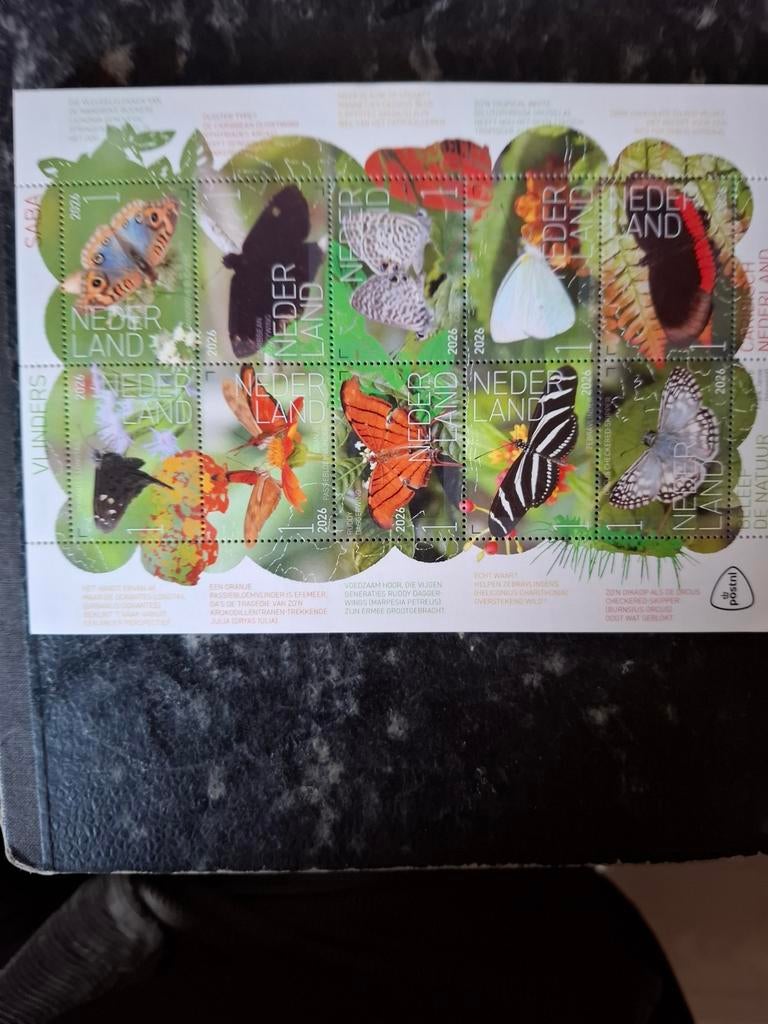 Vlinders Saba 2026 12,50, Postzegels en Munten, Ophalen of Verzenden, Postfris